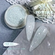 glitter holographic glitter